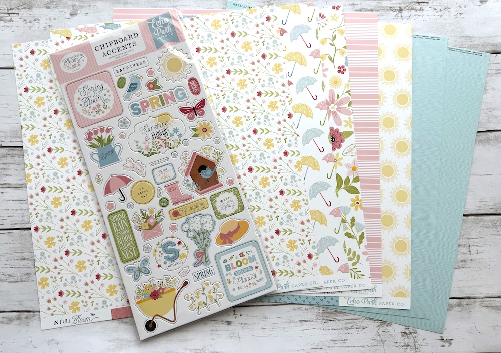 ECHO PARK IN FULL BLOOM SINGLE SHOT KIT:$10.00